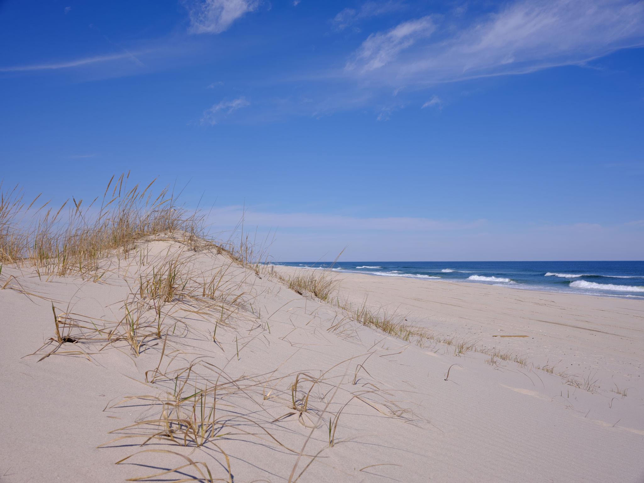 Island Beach State Park dunes